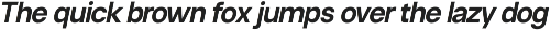Neue Celso - Family Sans Serif preview
