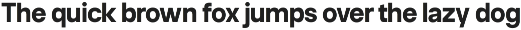 Neue Celso - Family Sans Serif preview