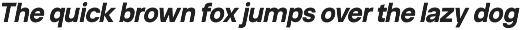 Neue Celso - Family Sans Serif preview