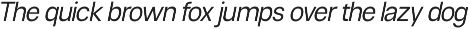 Neue Celso - Family Sans Serif preview