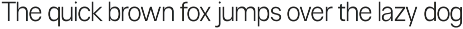 Neue Celso - Family Sans Serif preview