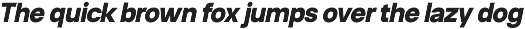 Neue Celso - Family Sans Serif preview