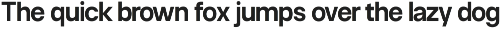 Neue Celso - Family Sans Serif preview