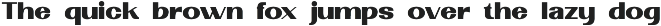 Boldvia Black - Modern Sans Serif preview