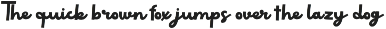 Wortline - Elegant Script Font preview