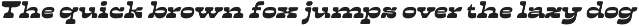 Westoon Arabic Bold Western Slab preview