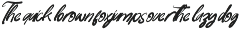Paradise Coastal Modern Handwritten preview