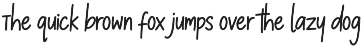 SkyNest Script font preview
