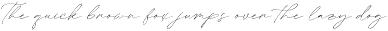 Melghita Elegant Calligraphy Script preview