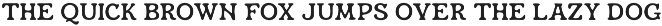 Hossegor - Retro Surf Serif Display preview