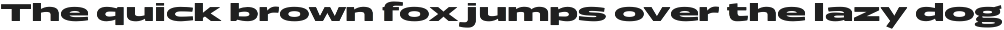 Hogly Extended Sans Serif Font preview