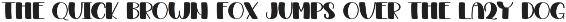 Good Notes preview