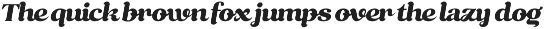 Rindlex - Retro Bold Display Script preview
