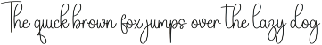 Vintage | Script Font preview