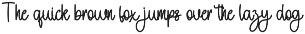 Budget preview