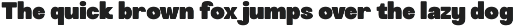 Ragnir - Bold Round Sans Font preview