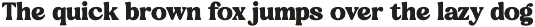 Journal Society Modern Bold Serif preview
