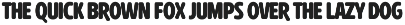 Rydero Soft Sans Display Font preview