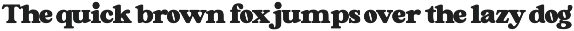 Forginty Serif Font preview