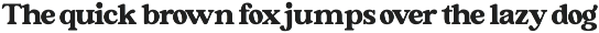 Forginty Serif Font preview