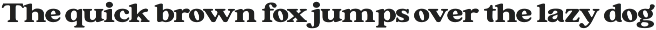 Forginty Serif Font preview