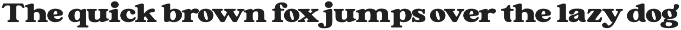 Forginty Serif Font preview