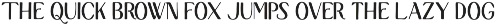 Quiet Garden Font Duo Retro Whimsy font preview