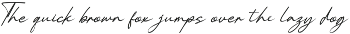 Pelagrium | Handwritten Script preview