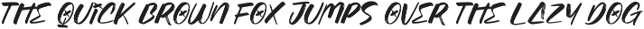 Induction Prottect Display Brush preview