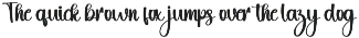 Bunny preview