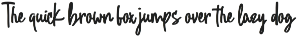 Wicked Broom - Halloween Font Duo preview