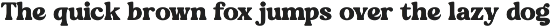 Mango Camise Modern Retro Serif preview