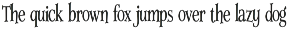 Noctis Serif preview