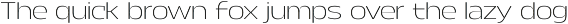 Calogen Soft | Family Font preview