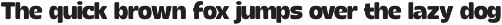 Calogen Soft | Family Font preview
