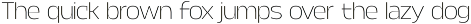 Calogen Soft | Family Font preview