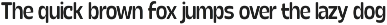 Calogen Soft | Family Font preview