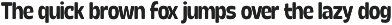 Calogen Soft | Family Font preview