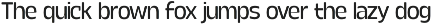 Calogen Soft | Family Font preview