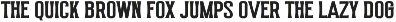 Robuste - Vintage Condensed Display preview