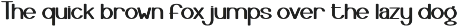 Simple Developer preview