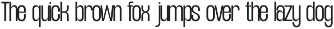 NV Dunk – Condensed Sans Serif preview