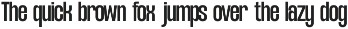 NV Dunk – Condensed Sans Serif preview