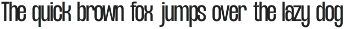 NV Dunk – Condensed Sans Serif preview