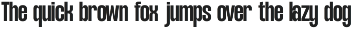 NV Dunk – Condensed Sans Serif preview