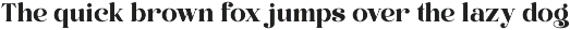 Perfina - Stylish Elegant Serif Font preview