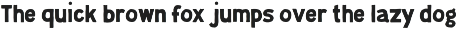 Retro Rustic Script & Bold Font Duo font preview