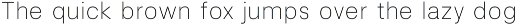 Lenia Soft | Intro 60% OFF preview