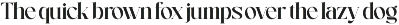 Runing Smile Serif Display preview
