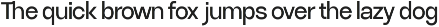 Ryecroft - Variable Sans Typeface preview